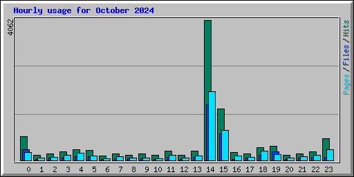 Hourly usage for October 2024