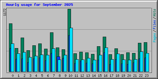Hourly usage for September 2025
