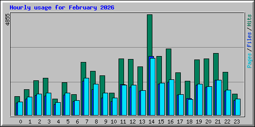 Hourly usage for February 2026